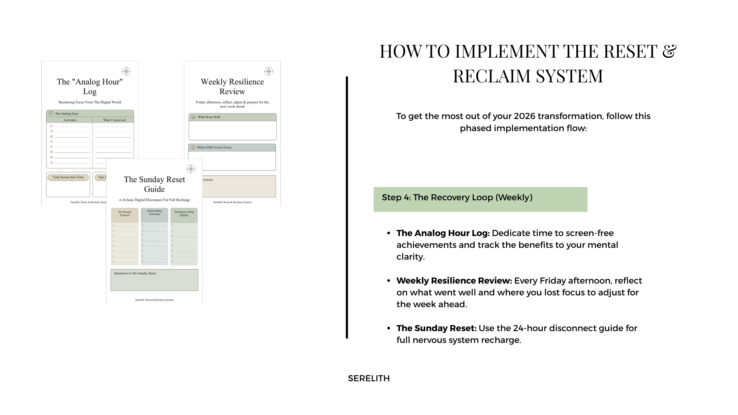 The Reset & Reclaim System - Image 9